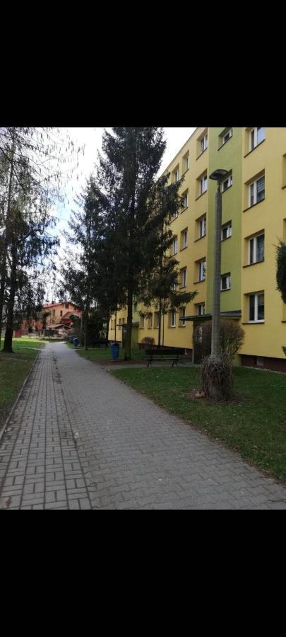 Apartamencik Perelka Скочув Экстерьер фото